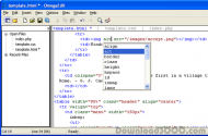 OmegaEdit screenshot